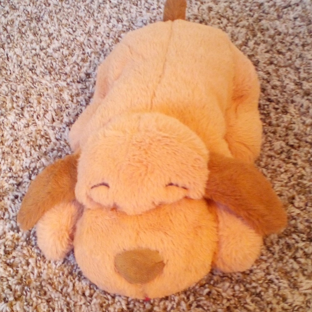 Dog cuddle pup